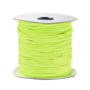 328ft(100m) 0.1"(2.5mm) Elastic String Cord Jewelry Stretchy Cord Light Green