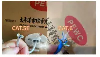 在飛比找露天拍賣優惠-【可零售裁切/附發票】太平洋 網路線 CAT5E CAT.5