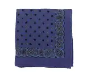 Cesare Attolini Blue, Brown Circle Paisley Motif Pocket Square Handmade In Italy