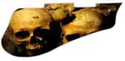Pickguard Pick Guard 5120 Graphical Graphic Guitar Ancient Skulls