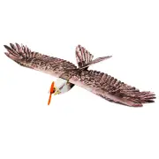 Dancing Wings Hobby DW E19 Eagle V2 1430mm Wingspan EPP DIY RC Airplane Fixed-Wing KIT/PNP Slow Flyer Trainer for Beginn