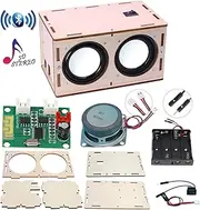 DIY Bluetooth Speaker Box Kit Electronic Sound Amplifier - Build Your Own Portable Wood Case Bluetooth Speaker with Sound - Science Experiment and STEM Learning for Kids, Teens and Adults