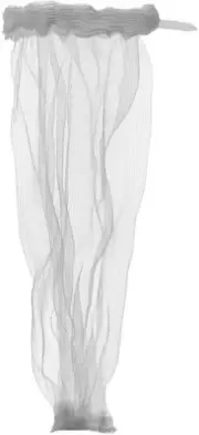 24 Pack Washing Machine Lint Snare Traps with Cable Ties, Washer Sink Drain H...