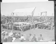 Crowd Watching Boxing Match 1937 Old Boxing Photo