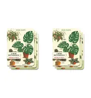 2x 3pc Cavallini Mini Notebook/Journal Set Diary School Stationery House Plants