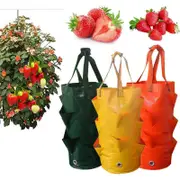 Strawberry Growing Bag Hanging Plant Garden Fruit Vegetables Reusable Pots Baskets Pots Window Boxes