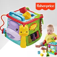 在飛比找蝦皮購物優惠-美國 Fisher-Price 費雪 可愛動物積木盒(大)