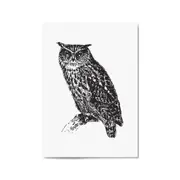 Owl Drawing Portrait Minimal Black Wall Art #2