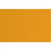 Fabriano Elle Erre Artist Paperboard 220gsm Lobster Orange