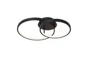 Zola 2lt CTC Light Black