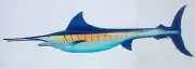 Marlin fish hand painted carved Florida Palm tree frond original saltwater fish