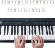 MuzcYM Free Paste No Glue Overlay Type 61 Keys Piano Note Colorful Marker Silicone Strips for Beginners/Kids with Case