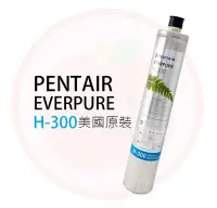 在飛比找Yahoo!奇摩拍賣優惠-❤️頻頻小舖❤️ 美國 愛惠浦 EVERPURE H-300