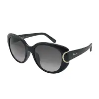 在飛比找momo購物網優惠-【Salvatore Ferragamo】時尚膠框太陽眼鏡(