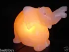 Himalayan SALT LAMP Rock Crystal Elephant Unique Ionizer