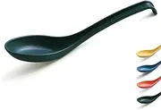 Evanda Soup Spoon, ECO Friendly Dinner Spoon,Made of Food Grade PP, BPA Free,Easy Clean,Dishwasher Safe Set of 12(Dark Green)