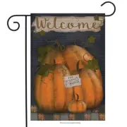 BRIARWOOD LANE Sleeved Garden Flag 12.5x18 PUMPKIN PATCH WELCOME Gourds Fall NEW