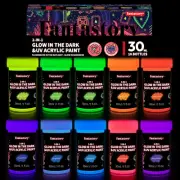 Glow in the Dark Paint 30ml Neon Colors Waterproof for Rock Wood Craft Decor