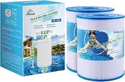 [TOREAD] NSF-50 Certified Watkins 31114 Replacement Tiger River Spa Filter, Compatible Unicel C-8465, PWK65, Filbur FC-3960, 71827, 71828 Hot Tub Filter, 65 sq. ft Hot Spring Spa Filter (2)