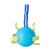 Pet Toy Tug Ball