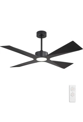 WINGBO 64" Wet Rated Outdoor Ceiling Fan with Lights