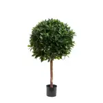 [Florabelle Living] Laurel Ball Tree 1.1m