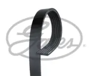 Gates 6PK1438 Drive Belt FOR PEUGEOT 306 - SAME DAY DISPATCH
