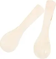 CANIGHT Elegant Petal Shape Spoon Set 2pc Dinner Spoon for Sauce Condiments Ice Cream Restaurant Use