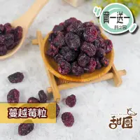 在飛比找PChome24h購物優惠-蔓越莓果粒 隨身包(買一送一共2包) 果粒 蔓越莓 果乾 無