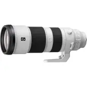 SONY FE 200-600mm F5.6-6.3 G OSS (SEL200600G) 鏡頭 公司貨