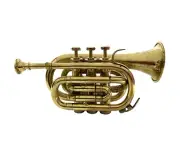 Shinny Brass Vintage Trumpet Pocket Bugle Horn 3