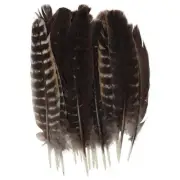 10-12inch Wild Turkey Feathers Natural Feather Decoration DIY Craft