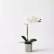 Artificial Orchid Phalaenopsis in Silo Pot - White