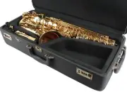 Professional Quality ALTO SAXOPHONE Eb Sax 875 Model with nice case! Brand NEW