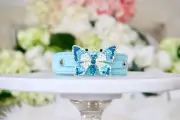 NEW! Majestic Robin Egg Blue Crystal Butterfly Dog Collar Enchanted Pets Cats