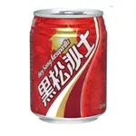 黑松沙士 易開罐245ML (一箱/24入）