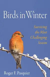 在飛比找誠品線上優惠-Birds in Winter: Surviving the