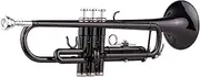 Brass Plated Black Bb Trumpet Set for Beginner Student with Hard Case Straps Mouthpiece Gloves Polishing Cloth Black One Size