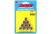 ARP 12-Point Nut Polished S/S 3/8" UNC Thread 7/16" Socket 10 Pack 401-8341 ARP-401-8341 ARP 401-8341