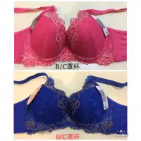 在飛比找蝦皮購物優惠-台灣精品  IMAGE. BODY. 🌺出清降價🌺 深V. 