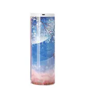 Double Layer Pencil Case Usb Password With Mirror Calculator School Supplies 04