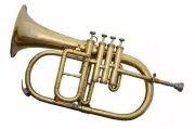 New Top Great New-Bb-4/Valve-Flugel-Horn-BRASS FINISH--Free-HARD-Case