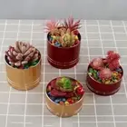 Multicolor Flower Pot Cylinder Box Planter Creative Plants Container