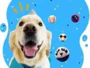 Jumbo Large Natural Non-Toxic Dog Balls Puppy Playing Ball Toy Fetch Floating