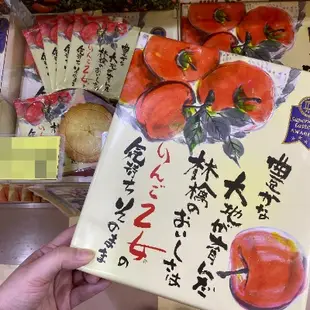 ☻現貨☻ FlyJP 瘋日本代購 長野信州土産 蘋果乙女 蘋果薄片餅乾16枚入
