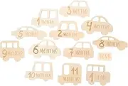 HAPINARY 13pcs Photo Props of The Month Months Milestone Cards Newborn Milestone Sign Milestone Wooden Circles Monthly Cards Months Signs Wooden Milestone Discs