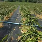 1M/3M Weedmat Weed Control Mat Sheet Heavy Duty Sun Shade Garden Membrane
