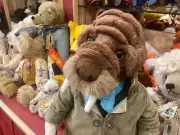 Charlie Bears Walrus - Signature Collection, number 137 - BEAR SHOP