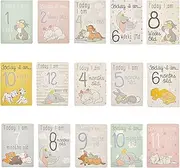 Disney Baby Milestone Cards Contains Dumbo, Thumper, Dalmations, Bambi, and more - Pack of 30 3396