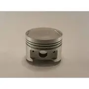 Austral Piston Set - PO1264B STD